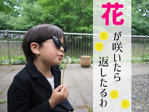 コピー機複合機レンタルの契約期間