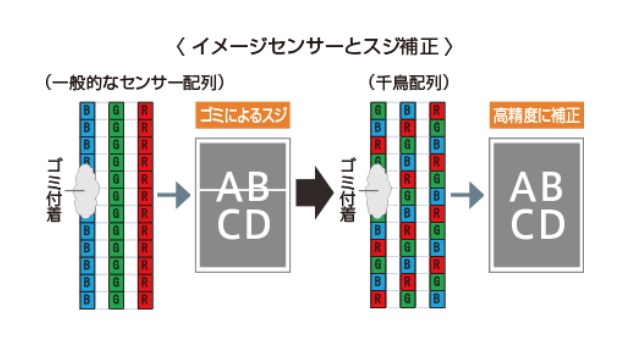 イメージセンサーと筋補正図