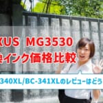 PIXUS MG3530互換インク（BC-340XL/BC-341XL）の価格を比較