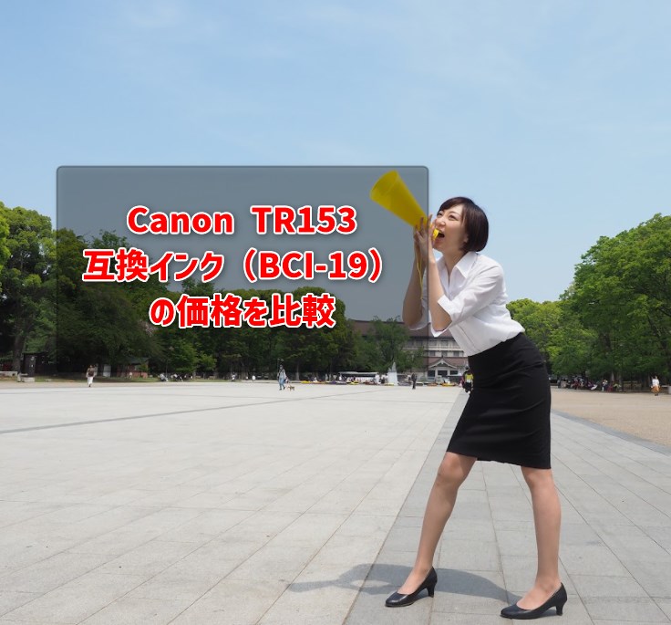 Canon TR153互換インク（BCI-19）の価格を比較