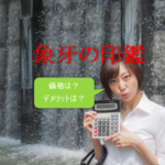 【印鑑の素材・象牙の価格とデメリット】販売中止間近⁉ 希少で高価な”印材の王様”
