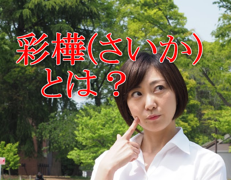 彩樺（さいか）とは？耐久性・価格に満足できる印鑑！アグニとの違いも解説