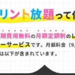 【定額制で印刷し放題】初期費用0円＆高品質インクのプリント放題
