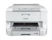 Business A3
